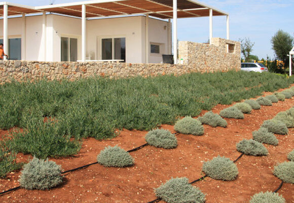 Ritmi Contemporanei (prima e dopo)