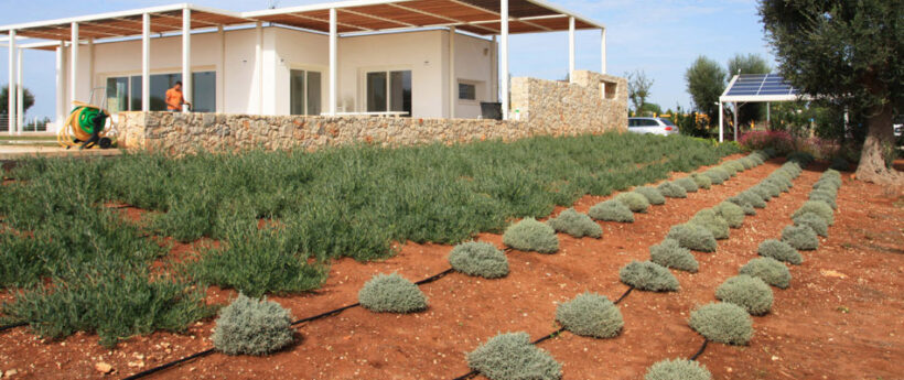 Ritmi Contemporanei (prima e dopo)