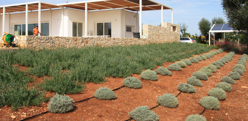 Ritmi Contemporanei (prima e dopo)